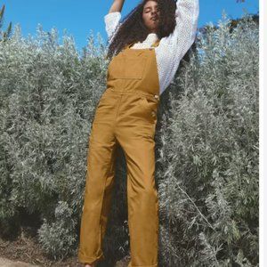 Everlane The Canvas Overalls